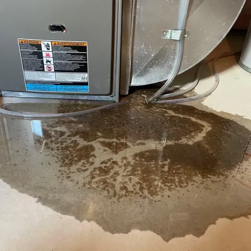 Appliance Leak Cleanup in New Lisbon, WI